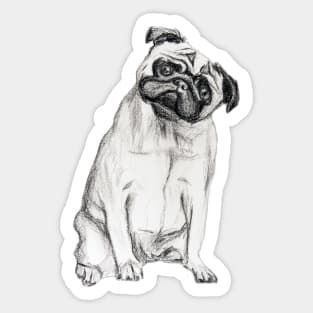 Pug-dog Sticker